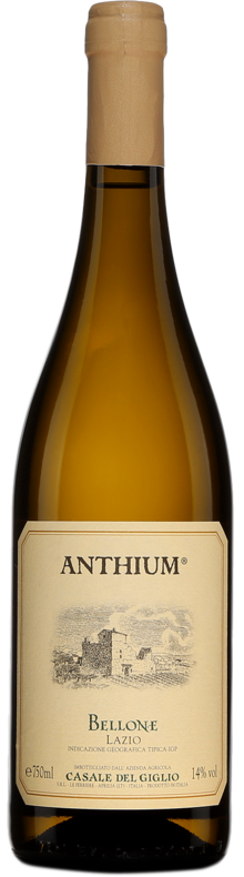 Anthium Bellone Casale del Giglio 2016