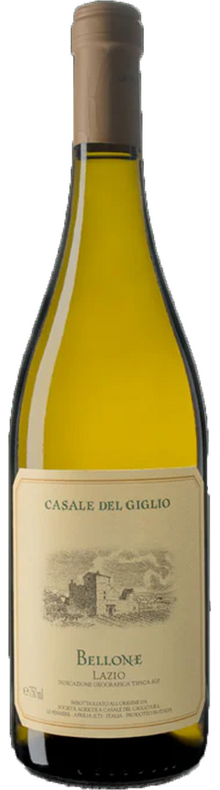 Bellone 2024
