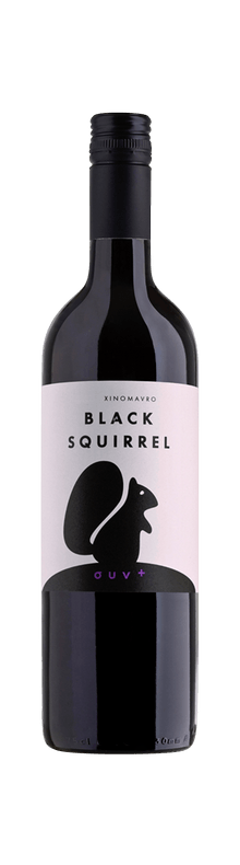 Black Squirrel 2017