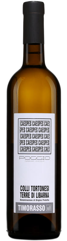 Caespes Poggio 2016