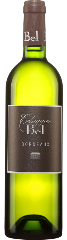 &Eacute;chapp&eacute;e Bel Bordeaux 2020