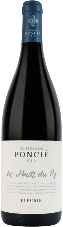 Les Hauts du Puy 2019