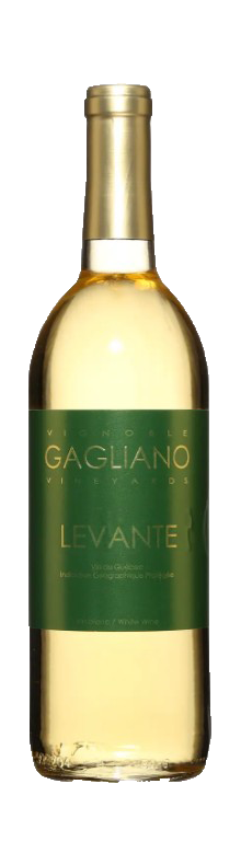 Levante 2023