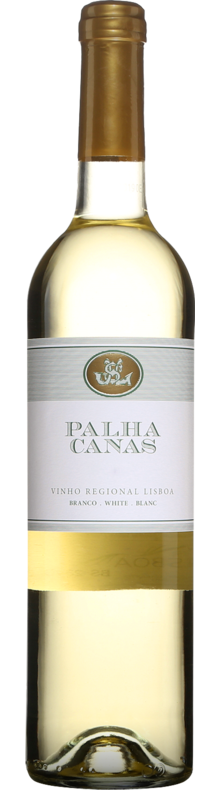 Palha Canas Casa Santos Lima 2019