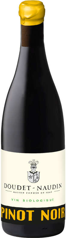 Pinot Noir Bio 2023