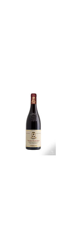 Vosne-Roman&eacute;e Aux Damaundes 2023